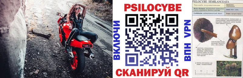 как найти закладки  Петровск-Забайкальский  Галлюциногенные грибы Cubensis 