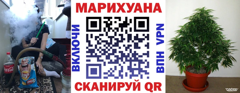 МАРИХУАНА сатива  где можно купить   Петровск-Забайкальский 